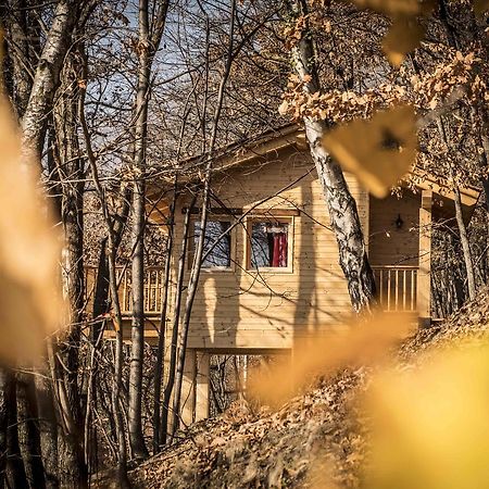 Il Nido Del Casalot Vila Frassino Exterior foto
